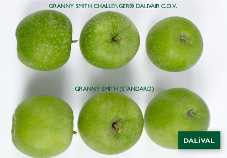 GRANNY SMITH CHALLENGER® DALIVAIR P.V.R.